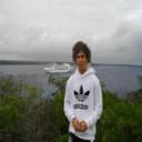 Alexandria Tigers logo