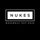 Arkansas Diamond Hawgs logo