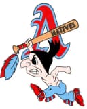 Arkansas Natives logo