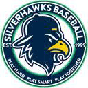 Bartlett SilverHawks logo