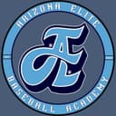 Birdgang Baseball logo