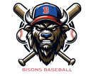 Bisons logo