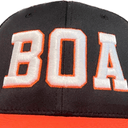 BOA logo