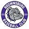 Brownsburg logo