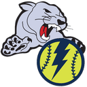 Carol Stream Cougars logo