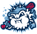 Chapin Blowfish logo