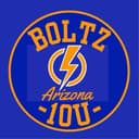 Copperheads Baseball logo