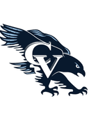 CV Falcons logo