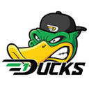 D1 Ducks logo