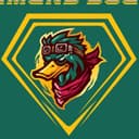 Diamond Ducks logo