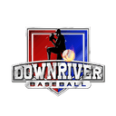 Downriver Hawks logo