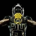 Ducks Baseball Navy logo