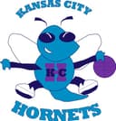 Electric City Hornets logo