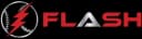 Flash logo