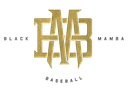 HB Black Mambas logo