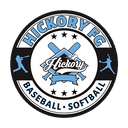 Hickory Hornets logo