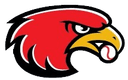 Houston Hawks logo