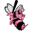 Idaho Cutthroats logo