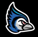 Illinois Blue Jays logo