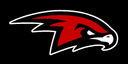 Illinois Hawks logo