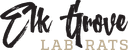Lab Rats logo