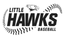 LITTLE HAWKS logo