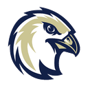 LWR Falcons logo