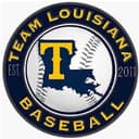 Magnolia Stealers logo