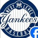 MS Yankees logo