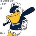 Pelicans Baseball Club logo