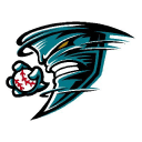 Rochester Youth Baseball Association logo