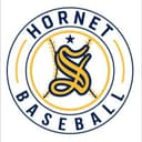 Saline Hornets logo