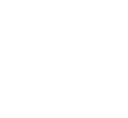Shenandoah Sluggers logo