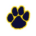 Southpaw Baseball logo