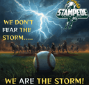 Stampede Baseball Club logo