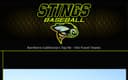 Stings Baseball logo