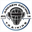 SWFL Baseball Davino logo