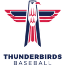 Thunderbirds logo