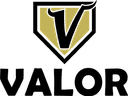 Valor Vikings logo