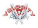 Velocity Academy logo