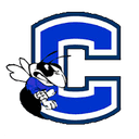 Vestavia Hornets logo