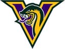 Vipers Baseball logo