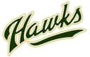 Woodward Granger Hawks logo