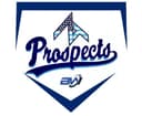 ZT Prospects logo
