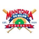 Minnetonka Big Willow logo
